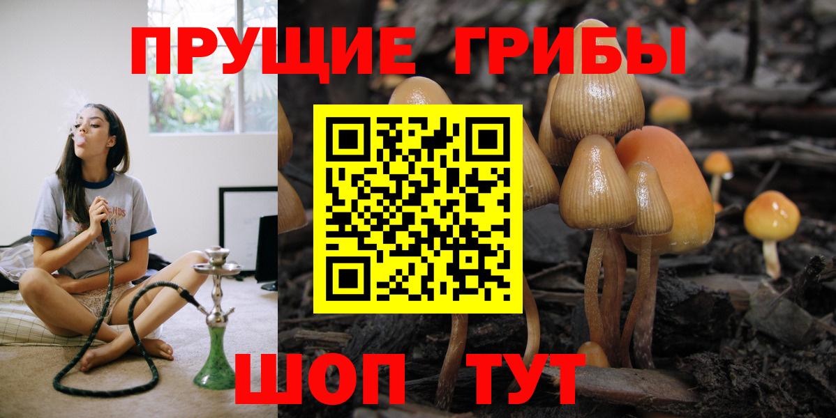Галлюциногенные грибы мицелий Россошь