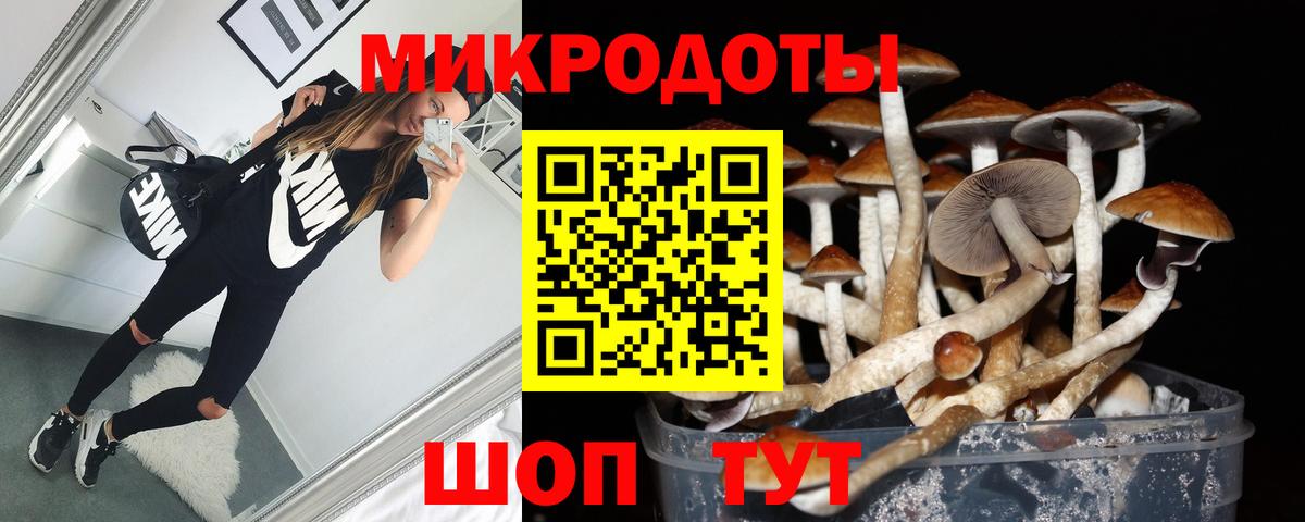 Галлюциногенные грибы ЛСД  Галлюциногенные грибы Psilocybe  Вход с VPN  Россошь 